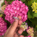 Eternal Blooms - PRE-ORDER