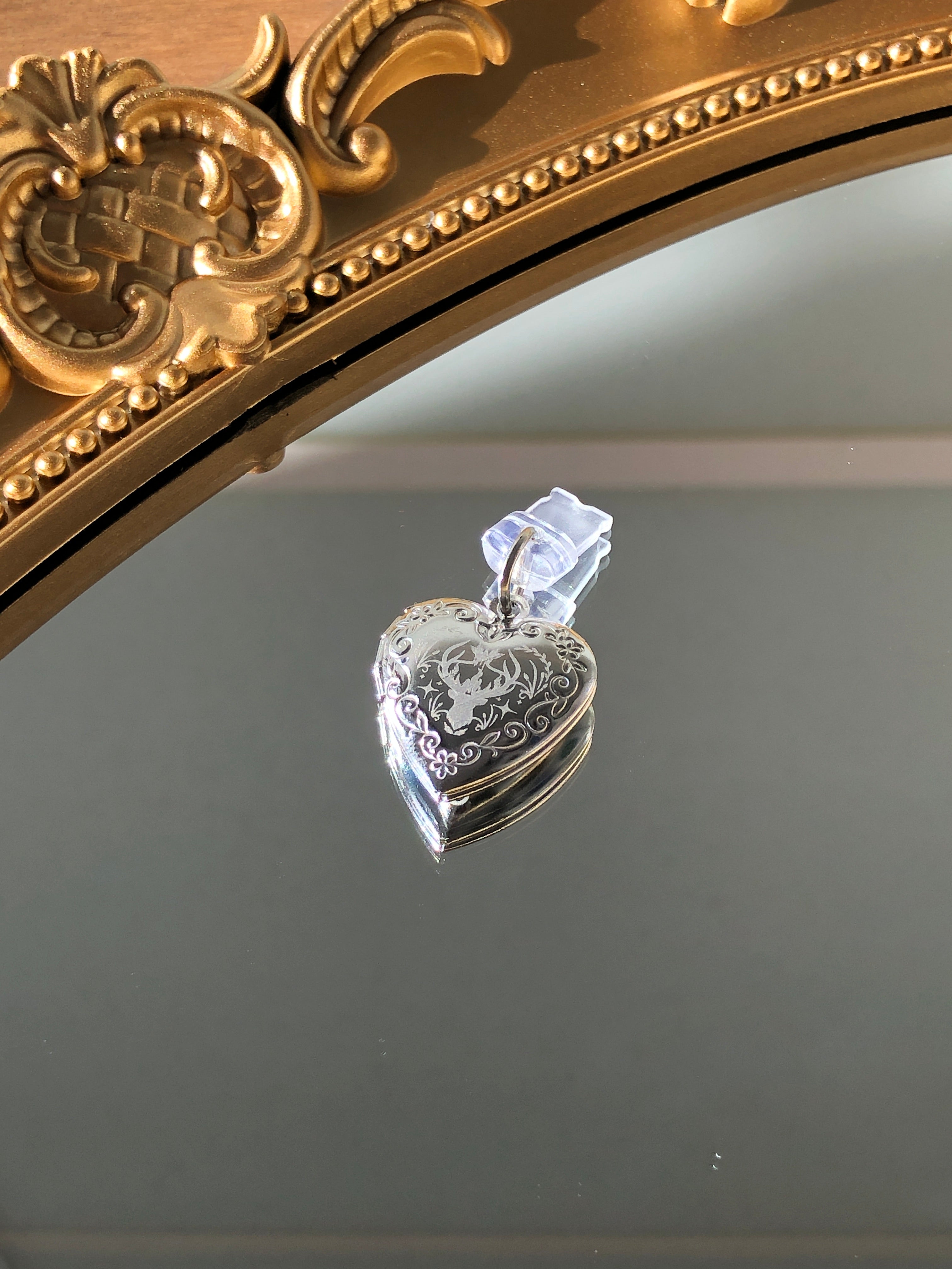 Better World Dust Plug