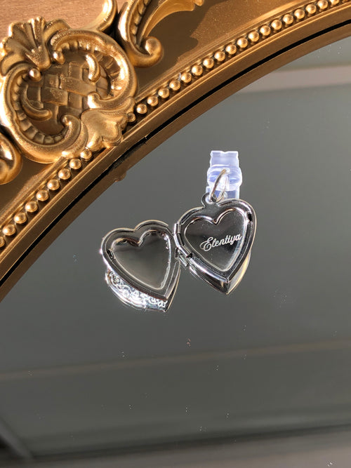 Better World Dust Plug