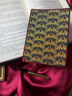 Wildfire Queen E-Reader Insert